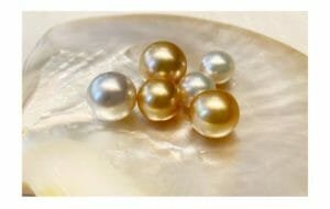 South Sea White Pearls